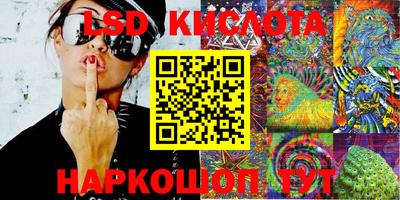 крисы Беслан
