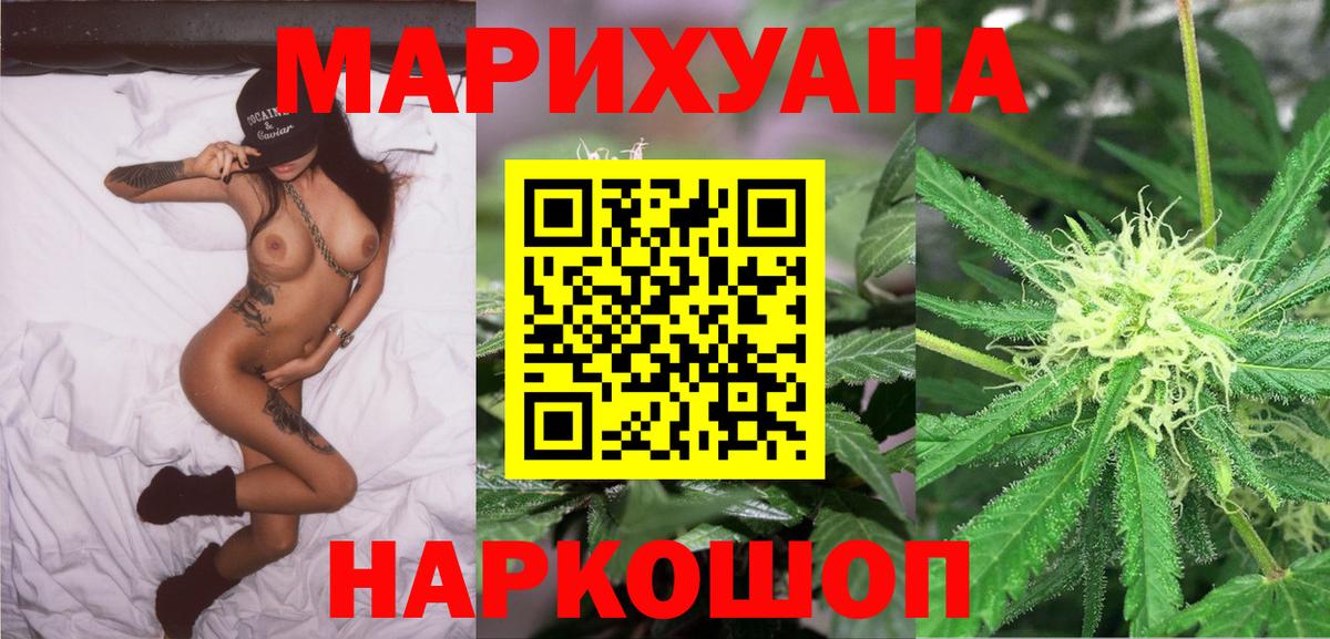 Балабаново  Марихуана сатива  Шишки марихуана планчик  Канабис план  Вход с VPN  Бошки Шишки White Widow 